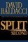Split Second (Sean King and Michelle Maxwell, Bk 1) (Large Print)