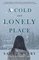 A Cold and Lonely Place (Troy Chance, Bk 2)