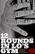 12 Rounds in Lo's Gym: Boxing and Manhood in Appalachia