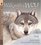 Walk with a Wolf : Read and Wonder (Read and Wonder)