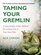 Taming Your Gremlin: A Surprisingly Simple Method for Getting Out of Your Own Way (Revised Edition)