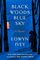 Black Woods, Blue Sky: A Novel