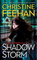 Shadow Storm (Shadow Riders, Bk 6)