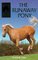 The Runaway Pony (Sandy Lane Stables, Bk 2)