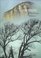 Yosemite: The Promise of Wildness