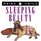 Fairytails: Sleeping Beauty: Dog-Eared Renditions of the Classics (Fairy Tails)