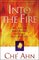Into the Fire: How You Can Enter Renewal and Catch God's Holy Fire