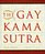 The Gay Kama Sutra