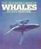 The Sea World Book of Whales