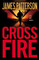 Cross Fire (Alex Cross, Bk 17) (Large Print)