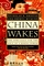 China Wakes : The Struggle for the Soul of a Rising Power