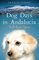 Dog Days in Andalucia: Tails from Spain