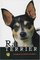 Rat Terrier: A Complete and Reliable Handbook (Rx-133)