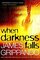 When Darkness Falls (Jack Swyteck, Bk 6)