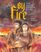 By Fire: The Jakob Hutter Story (Heroes of the Radical Reformation, 2)