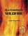 Pro/Engineer Wildfire with CDROM