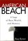 American Beach: A Saga of Race, Wealth, and Memory