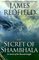 The Secret of Shambhala: In Search of the Eleventh Insight (G K Hall Large Print Book Series)