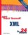 Sams Teach Yourself XML in 24 Hours (2nd Edition)
