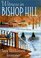 Witness in Bishop Hill: A Joan Spencer Mystery