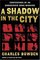 A Shadow in the City : Confessions of an Undercover Drug Warrior
