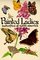 Painted Ladies: Butterflies of North America (Millie & Cyndi's Pocket Nature Guides)