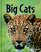 Big Cats (Usborne Discovery)
