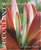 Succulents for the Contemporary Garden