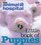 "Animal Hospital": Little Book of Puppies (Animal Hospital)