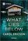 What Lies Below (Discovery Bay, Bk 4) (Harlequin Intrigue, No 2244)