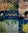 Color Encyclopedia of Ornamental Grasses: Sedges, Rushes, Restios, Cat-Tails, and Selected Bamboos