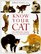 Know Your Cat: An Owner's Guide to Cat Behavior