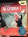 Holt McDougal Larson Algebra 1: Tennessee Student Edition