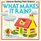 What Makes It Rain? (Usborne Starting Point Science)