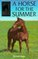 A Horse for the Summer (Sandy Lane Stables)