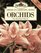 Orchids (Burpee American Gardening Series)