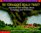 Do Tornadoes Really Twist?: Questions and Answers About Tornadoes and Hurricanes (Berger, Melvin. Scholastic Question and Answer Series.)