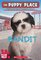 Bandit (Puppy Place, Bk 24)