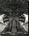 Uelsmann Yosemite: Photographs