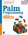 Palm Programming for the Absolute Beginner w/CD (For the Absolute Beginner (Series).)