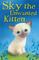 Sky the Unwanted Kitten