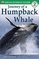 Journey of a Humpback Whale (DK Readers, Level 2)