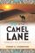 Life in the Camel Lane: Embrace the Adventure