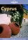 Lonely Planet Cyprus (Travel Survival Kit)