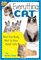 Everything Cat: What Kids Really Want to Know About Cats