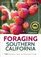 Foraging Southern California: 118 Nutritious, Tasty, and Abundant Foods