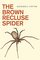 The Brown Recluse Spider