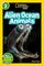 National Geographic Readers: Alien Ocean Animals (L3)