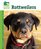 Rottweilers (Animal Planet Pet Care Library)