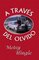 A Traves Del Olvido (Thorndike Press Large Print Spanish Series)